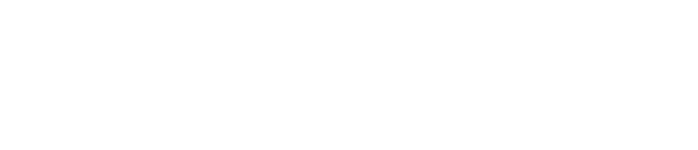 Dark Grey Europe - BCG